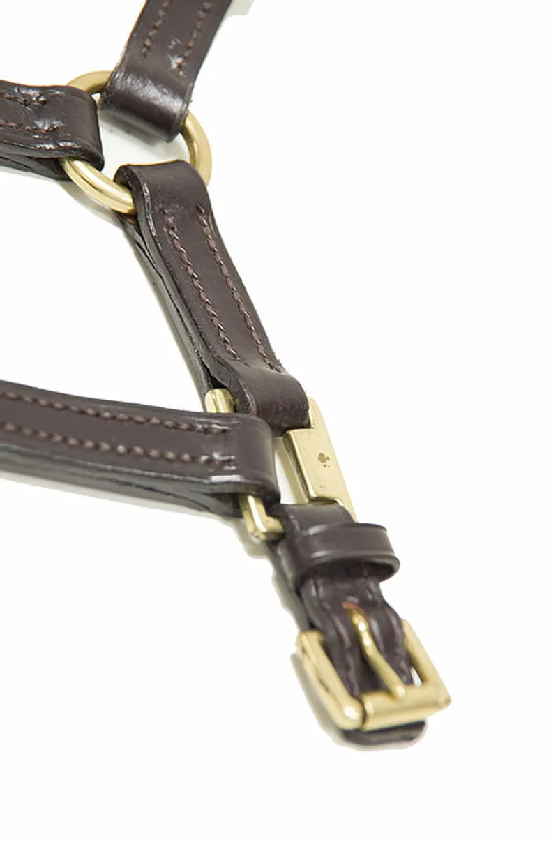 Dever Ascot Leather Foal Headcollar Brown-1